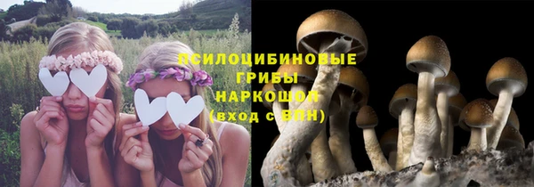 ПСИЛОЦИБИНОВЫЕ ГРИБЫ Зерноград