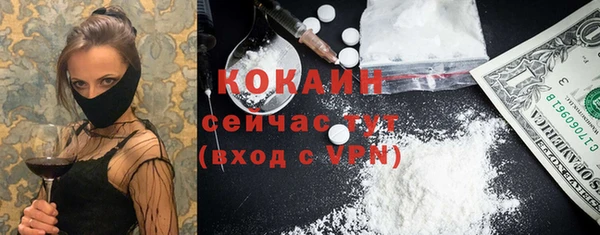 винт Фурманов