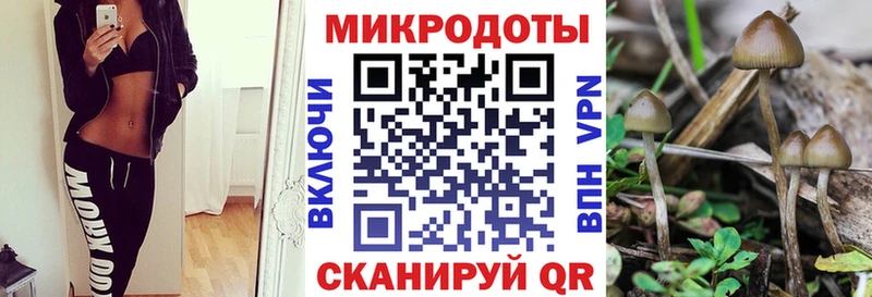 Галлюциногенные грибы ЛСД  наркота  Кандалакша 