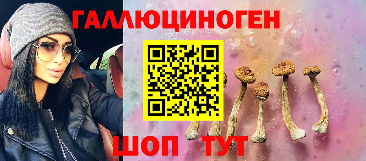 Галлюциногенные грибы ЛСД  Вход с VPN  Кандалакша 