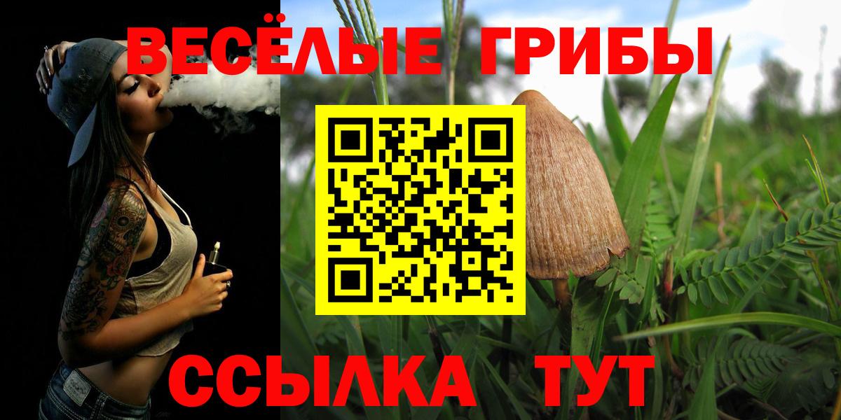 Псилоцибиновые грибы MAGIC MUSHROOMS Кандалакша