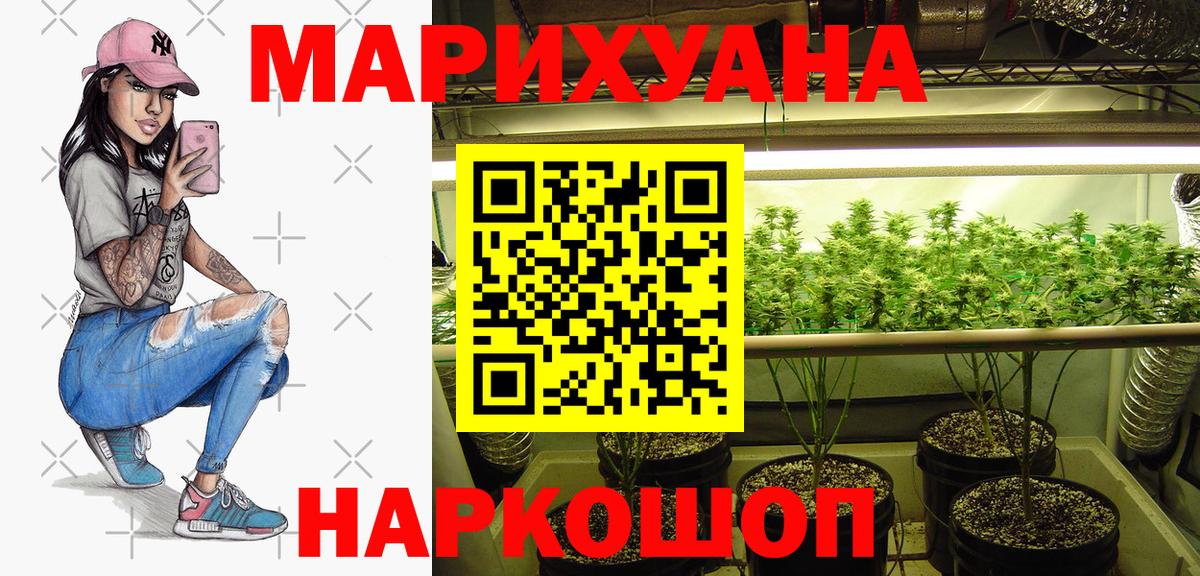 Бошки Шишки планчик  Марихуана ГИДРОПОН  Бошки марихуана конопля  Вход с VPN  Кандалакша  Бошки Шишки White Widow 